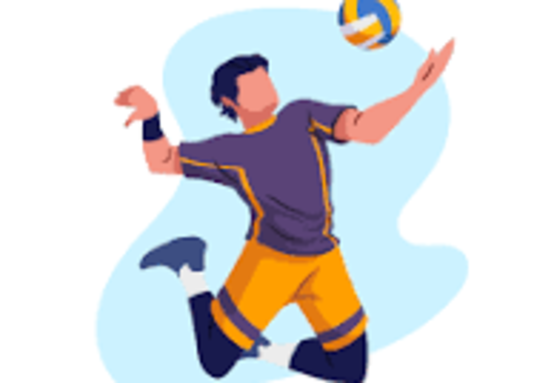 image volley.png