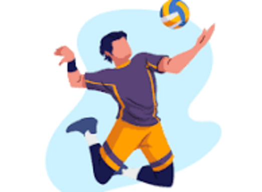 image volley.png